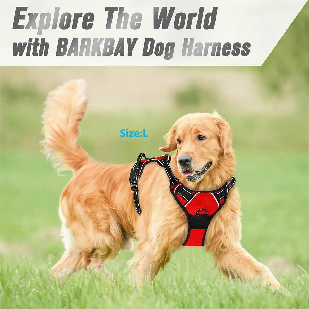PawWoW™ No-Pull Dog Harness