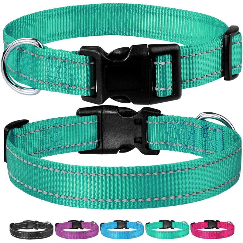 PawWoW™ Lumos Pet Collar