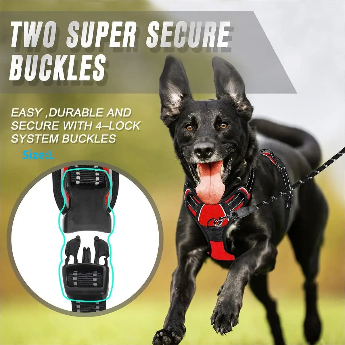 PawWoW™ No-Pull Dog Harness
