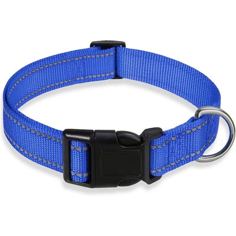 PawWoW™ Lumos Pet Collar