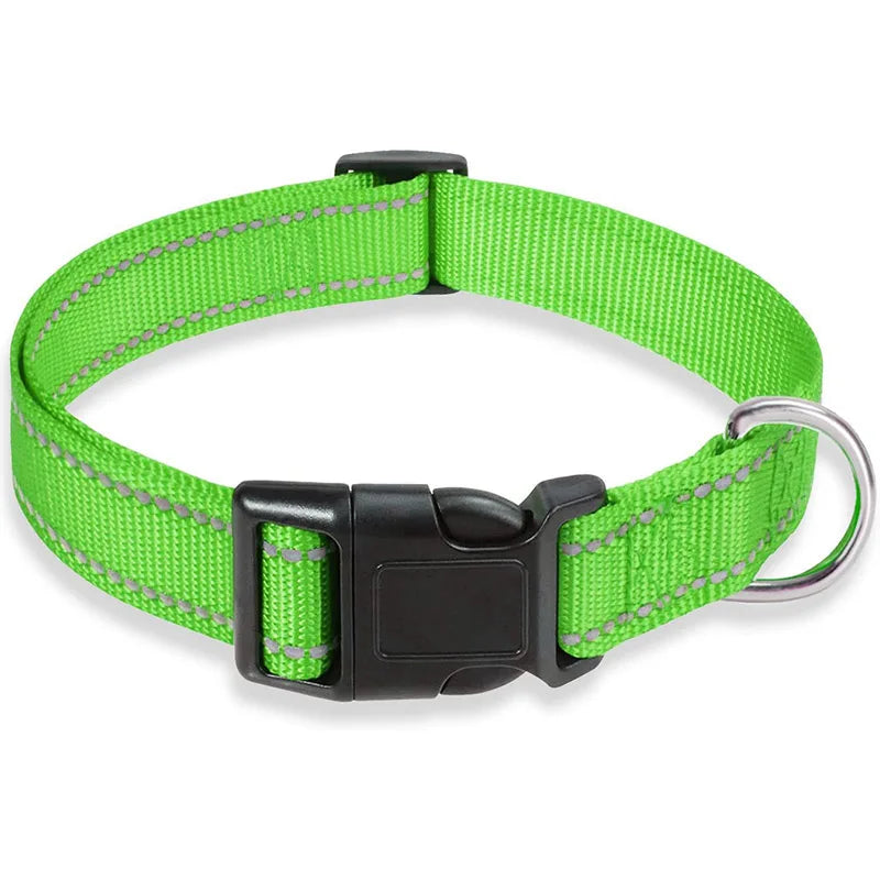 PawWoW™ Lumos Pet Collar