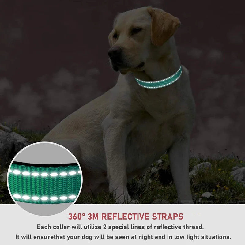 PawWoW™ Lumos Pet Collar