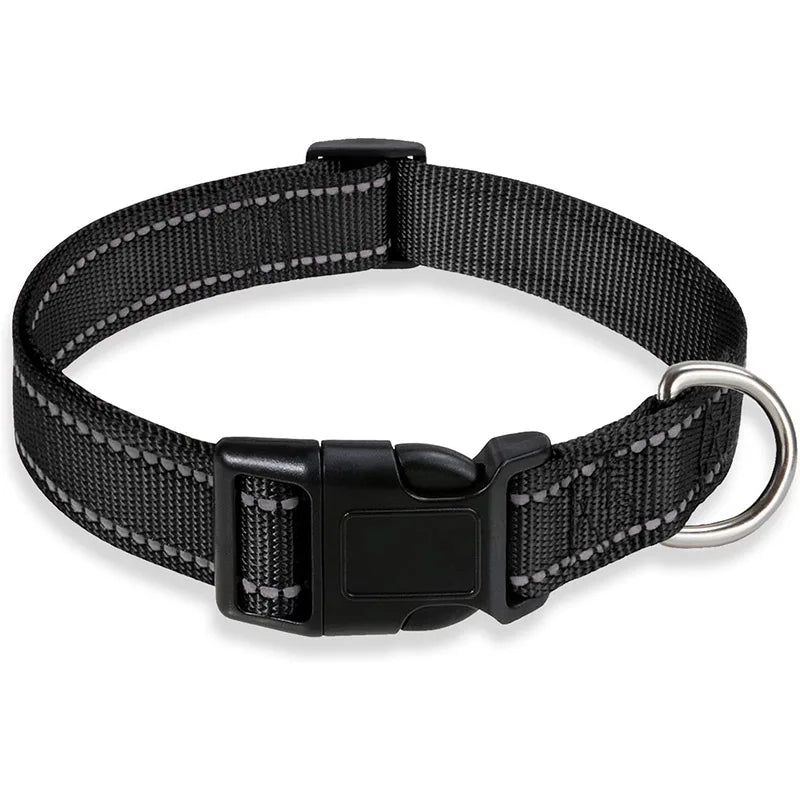 PawWoW™ Lumos Pet Collar
