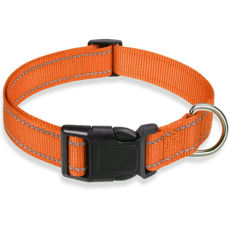 PawWoW™ Lumos Pet Collar
