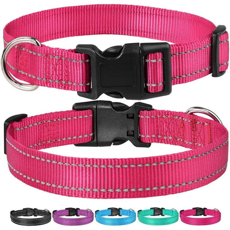 PawWoW™ Lumos Pet Collar