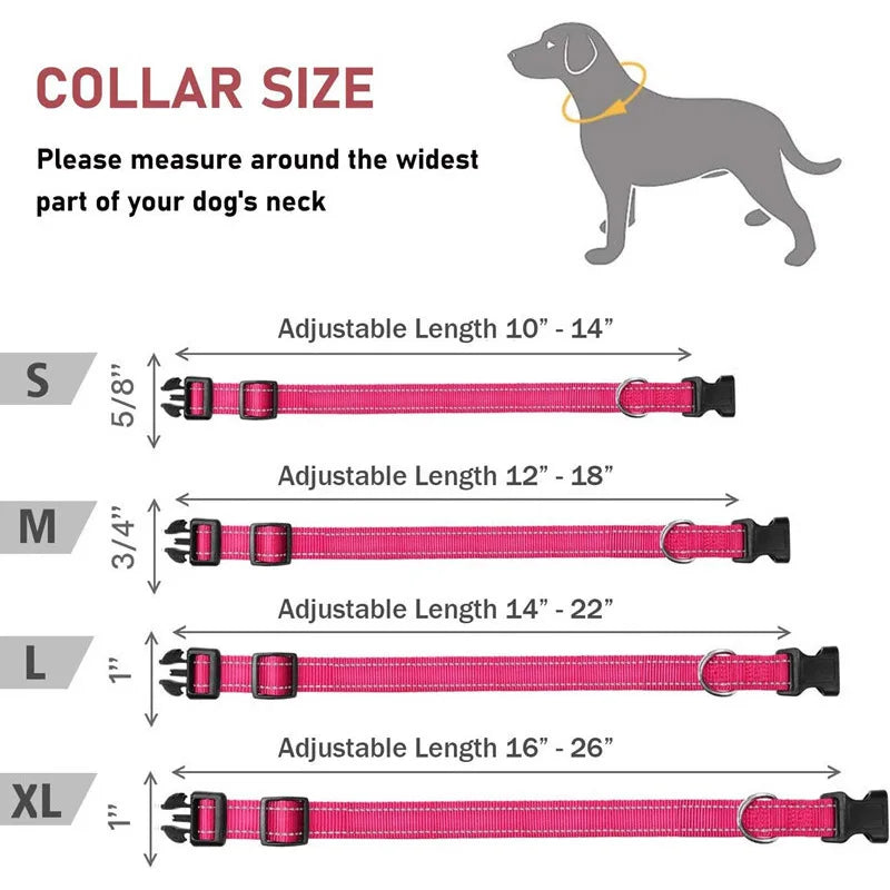 PawWoW™ Lumos Pet Collar