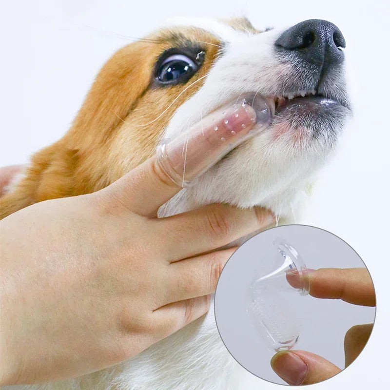 PawWoW™ SoftTooth Pet Brush