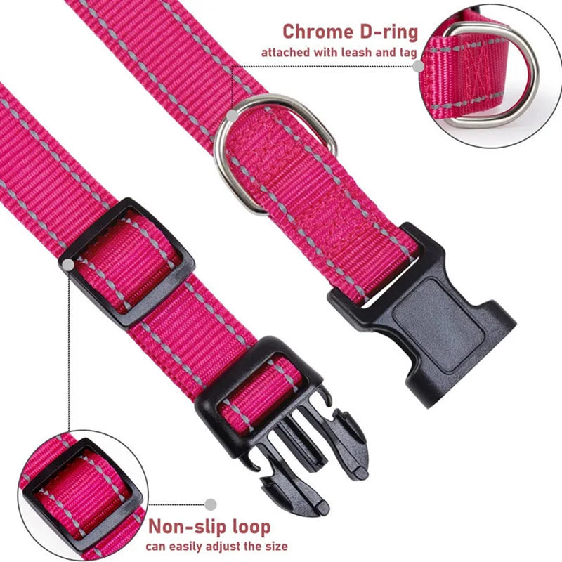 PawWoW™ Lumos Pet Collar