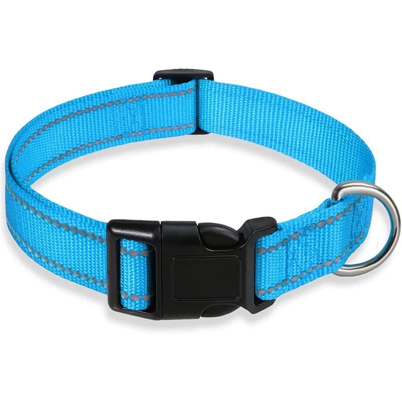 PawWoW™ Lumos Pet Collar