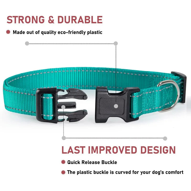 PawWoW™ Lumos Pet Collar