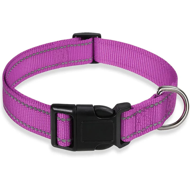 PawWoW™ Lumos Pet Collar