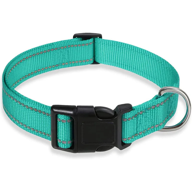 PawWoW™ Lumos Pet Collar