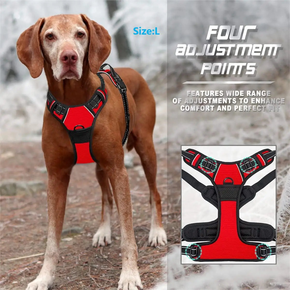 PawWoW™ No-Pull Dog Harness